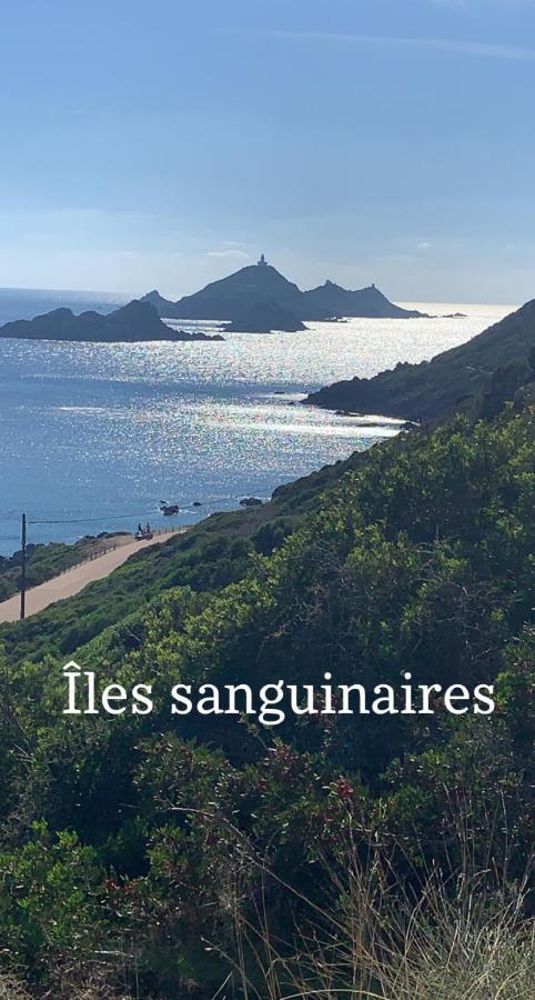 Magnifique Appartement Vue Mer, Spacieux Et Traversant 阿雅克肖 外观 照片